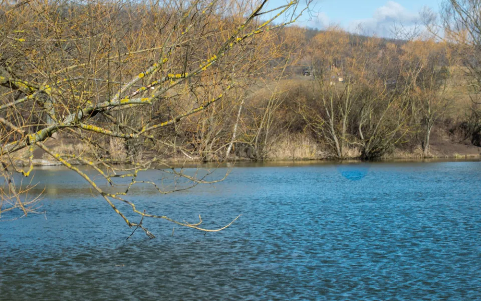 Medlánecká naučná stezka Brno