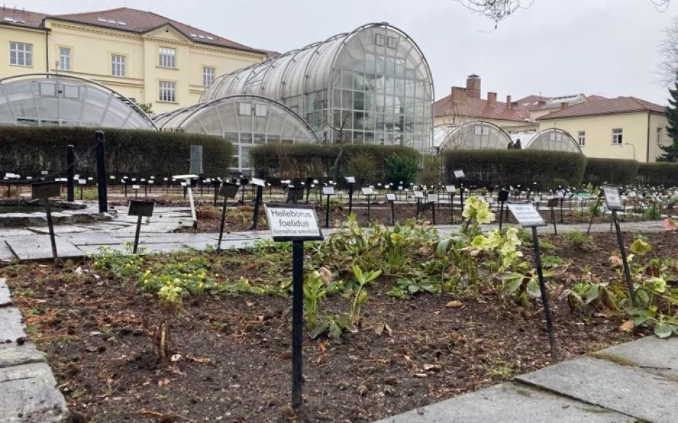 Botanická zahrada Masarykovy univerzity zahájila novou sezónu