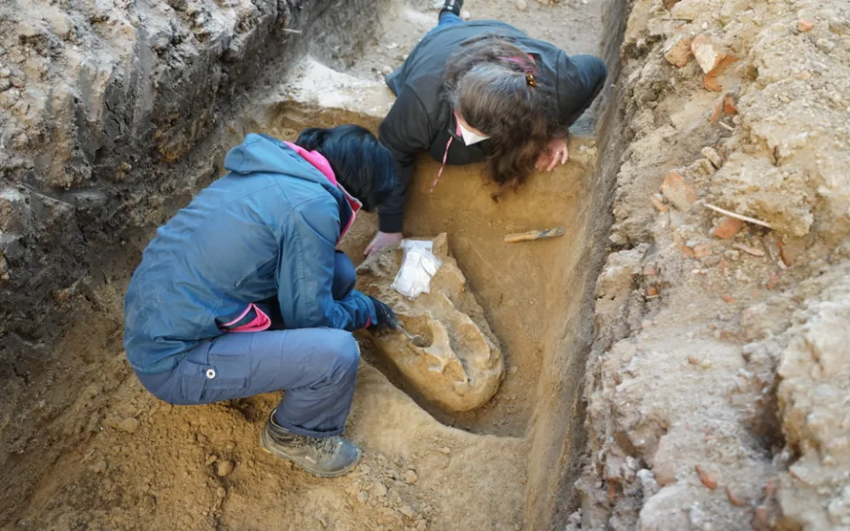 Archeologové hlásí unikátní objev. V Brně našli lebku pravěkého nosorožce