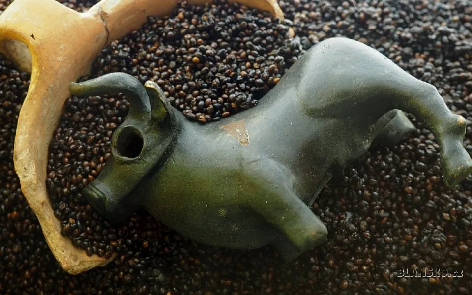 byci-skala-64018-8385_800