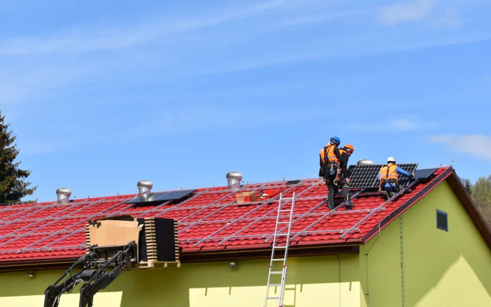 Zasaďte strom, nainstalujte solární panel. Experti poradí, jak na to