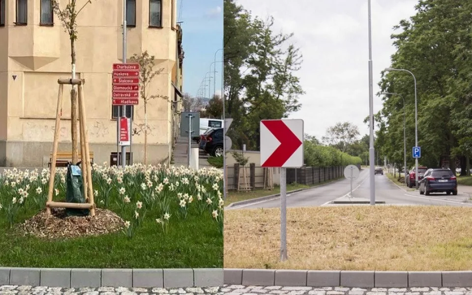 Ze zeleného kruháče suchý plac. Z brněnského objezdu zmizely stromy i kvítí