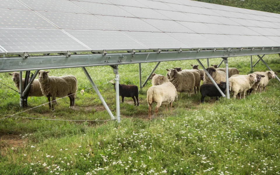 Zelená energetika může v Česku vytvořit přes 100 tisíc pracovních míst