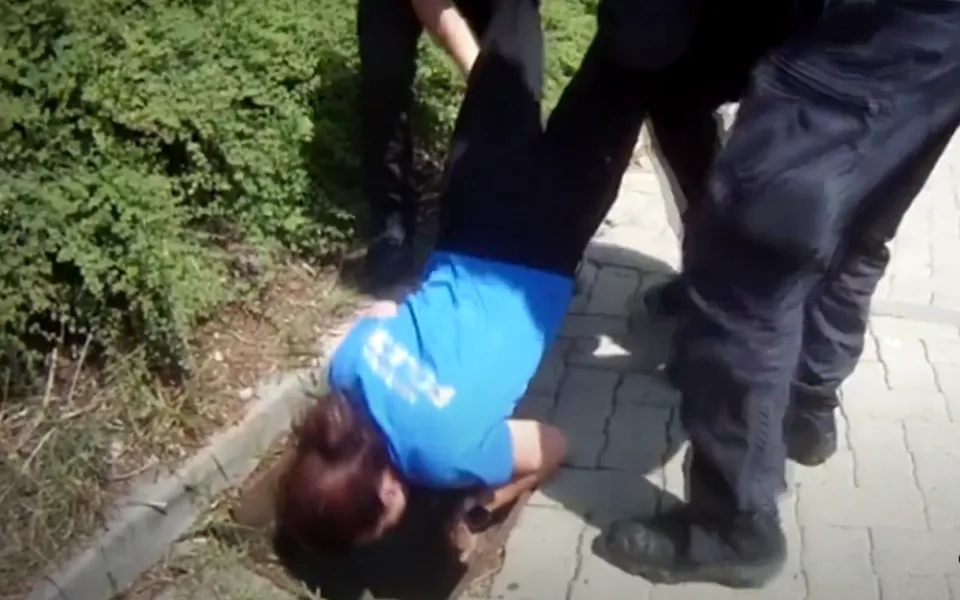 Káčata v Brně spadla do kanálu, vytáhli je strážníci