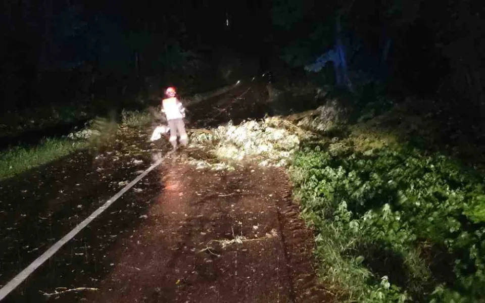 Jihomoravští hasiči kvůli bouřkám zasahovali u stovky událostí, hlavně u stromů
