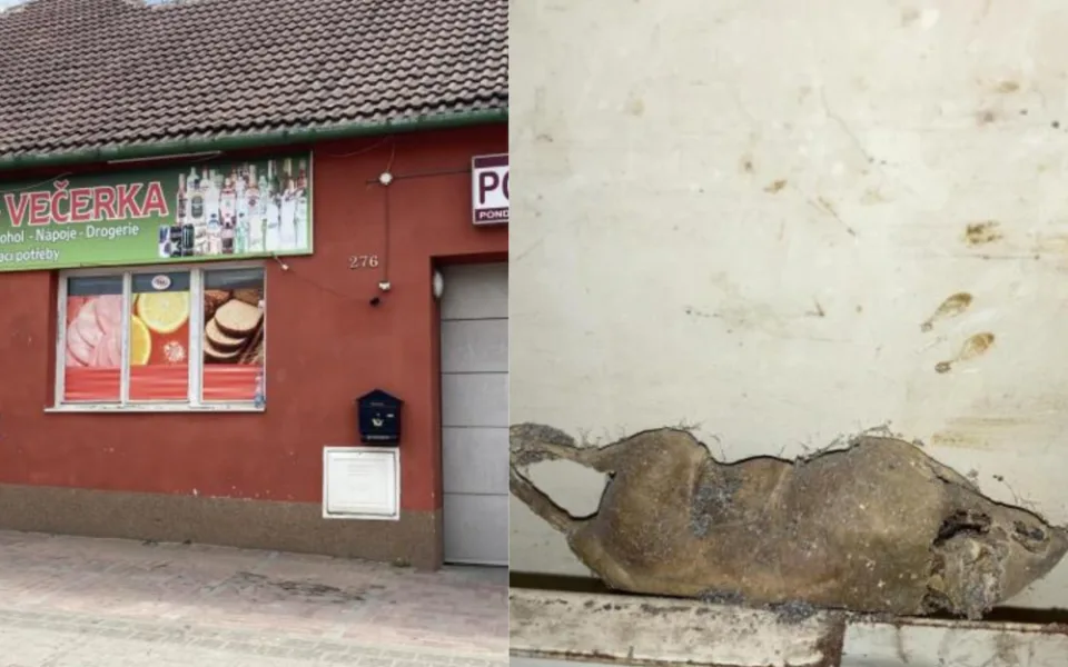 Inspektory přivítaly v jihomoravské večerce myši