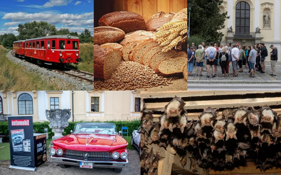 Kam o víkendu? Za netopýry, na motoráček i autentickou prohlídku