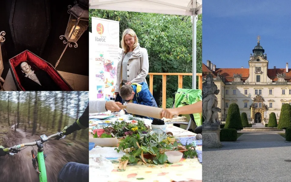 Kam o víkendu? Na brněnský festival bylinek nebo strašidelnou výstavu