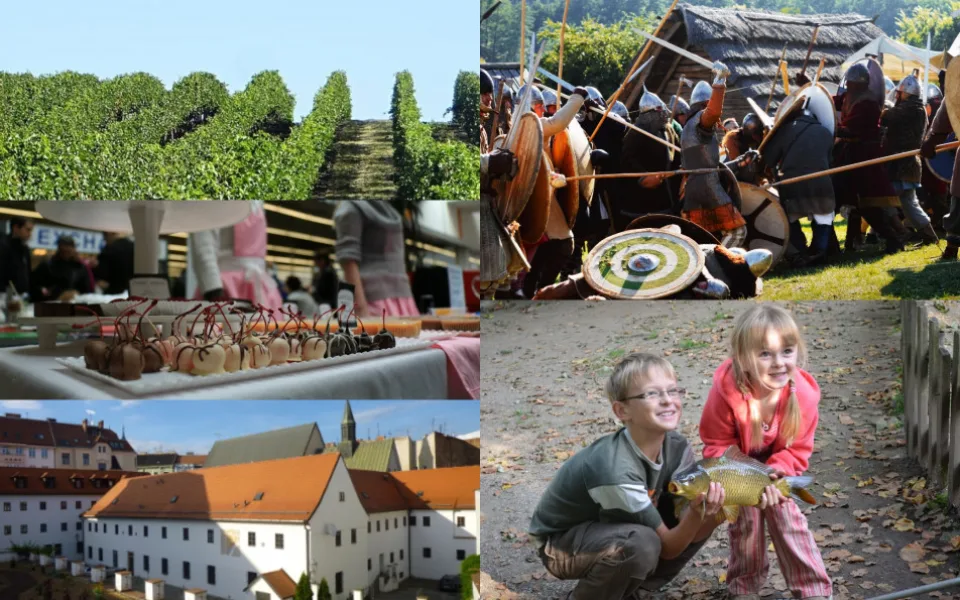 Kam o víkendu na jižní Moravě? Na burčákový pochod, kaprobraní i festival čokolády