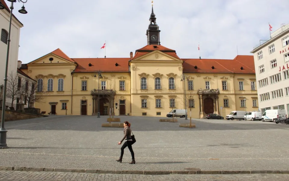 Vysazené platany na Dominikánském náměstí.