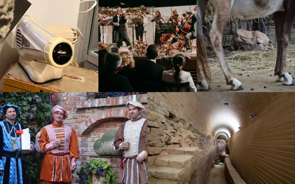 Kam o víkendu na jižní Moravě? Na Den zvířat do zoo i na prohlídku bastionu