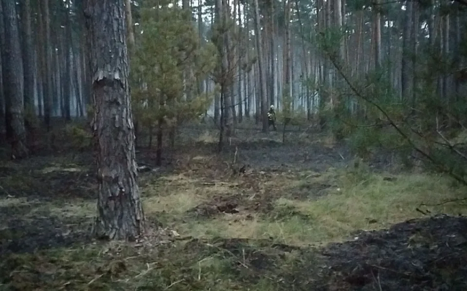 Požár na Hodonínsku.