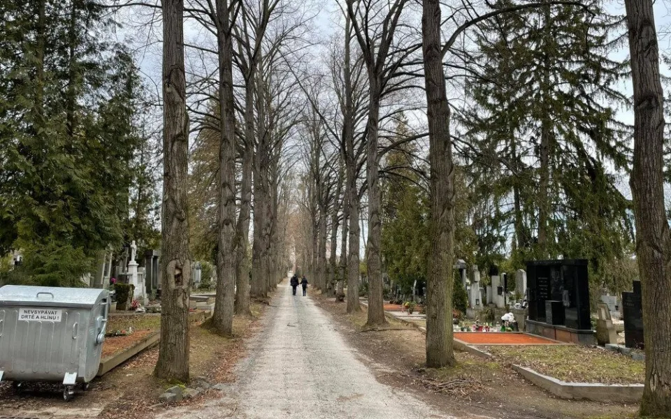 Ústřední hřbitov v Brně