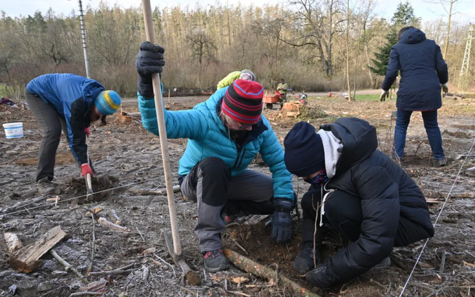 Kůrovcová kalamita se stabilizuje, brněnští lesníci mají méně práce s vysazováním