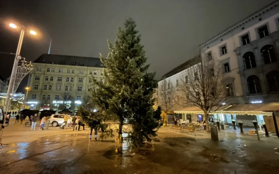 Brnu přivezli vánoční stromeček koně