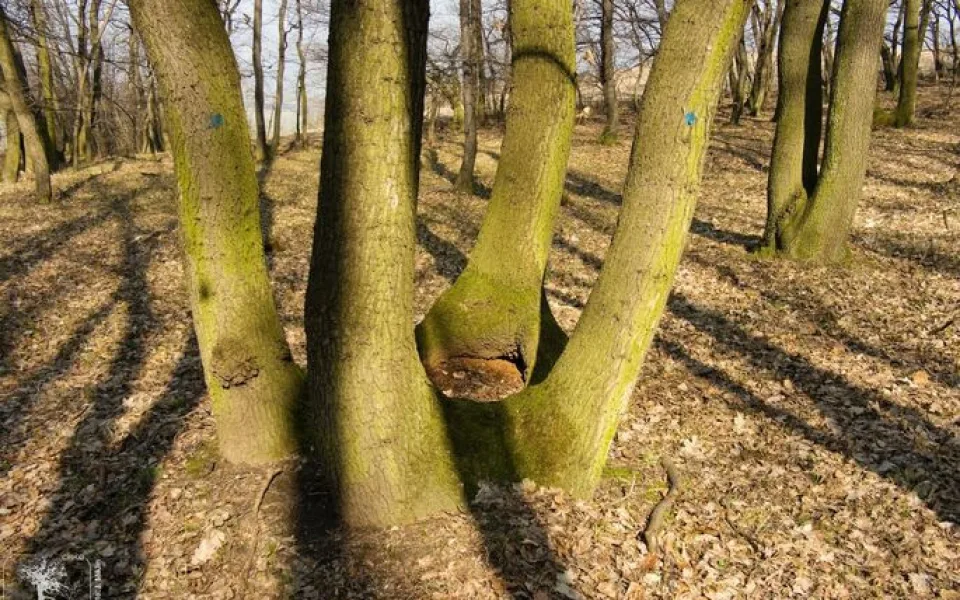 Ilustrační foto.