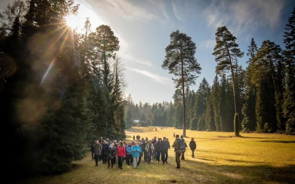 Řícmanické arboretum