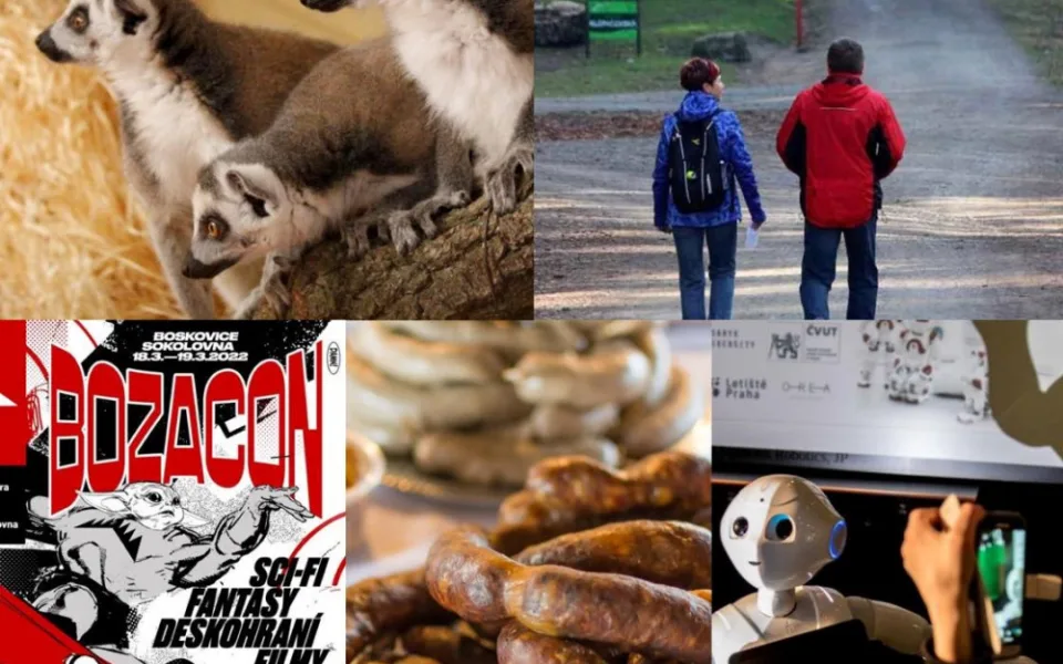 Kam o víkendu na jižní Moravě? Do zoo, na zabíjačku nebo na turistický pochod