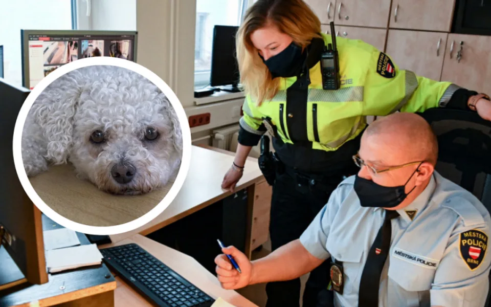 Ilustrační foto.
