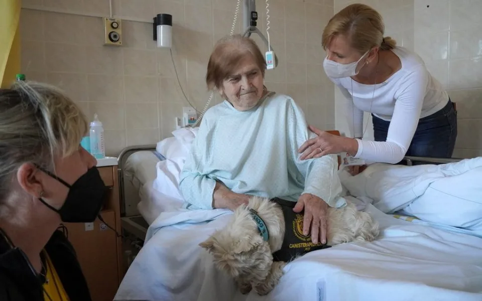 Do blanenské nemocnice se vrací po covidu pejsci. Pomáhají s rehabilitací pacientů