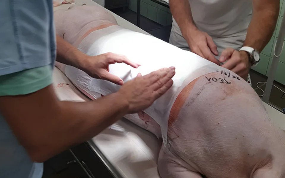 K léčbě poraněné kůže pomáhají náplasti s rybím olejem, objevili brněnští vědci