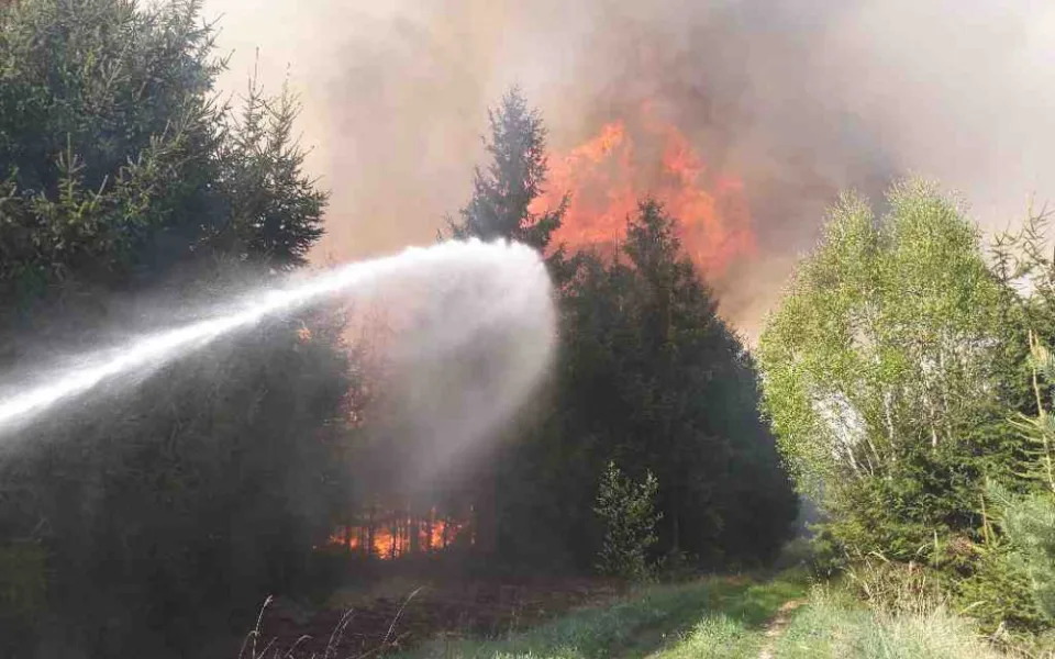 Lesy budou v Česku hořet čím dál častěji. Na vině je klimatická změna a bezohlední návštěvníci