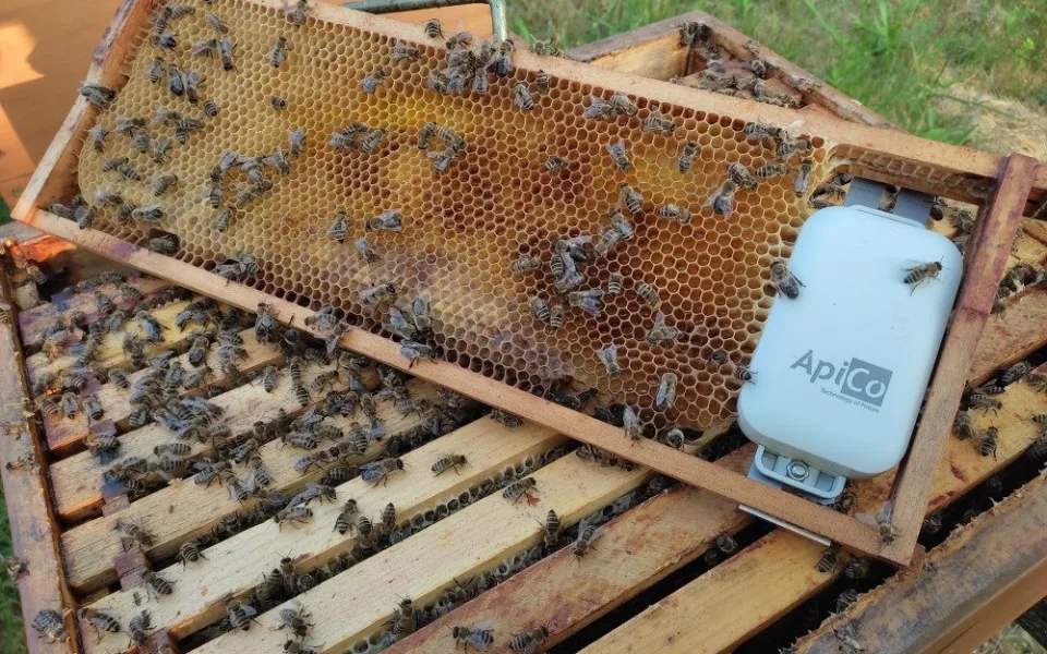 Vědci z Brna loví zloděje včel. Do úlů dali speciální stopovací systém
