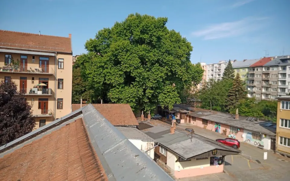 Lužánečtí jsou proti stavbě nového věžáku. Zničí stromy, říkají