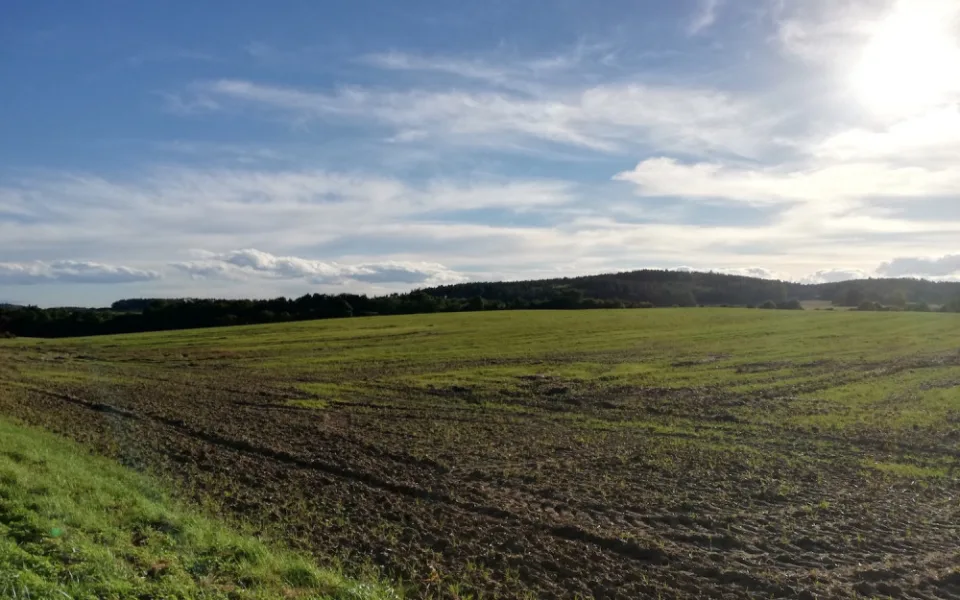 Ilustrační foto.