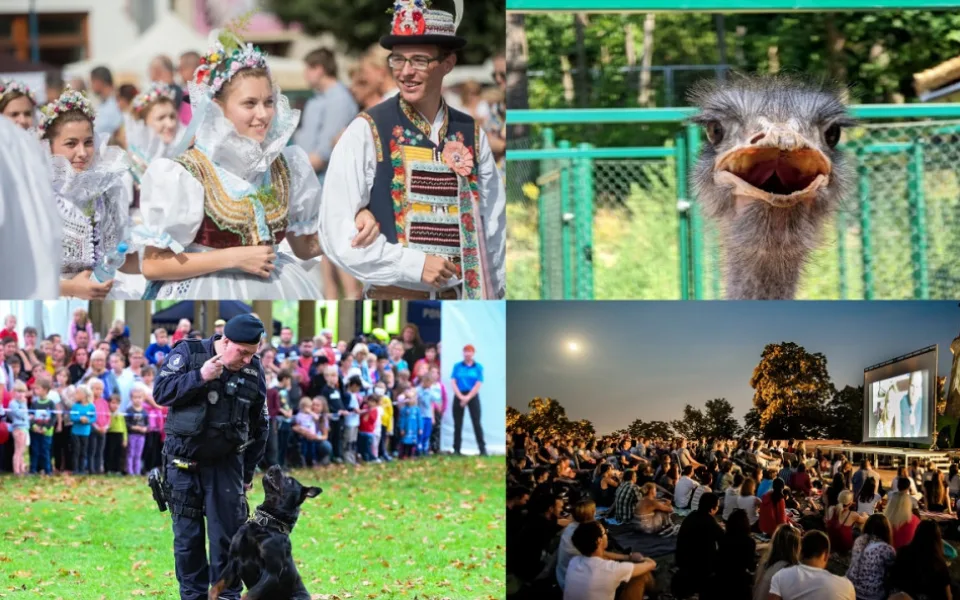 Kam o posledním prázdninovém víkendu? Parním vlakem na dožínky i do zoo
