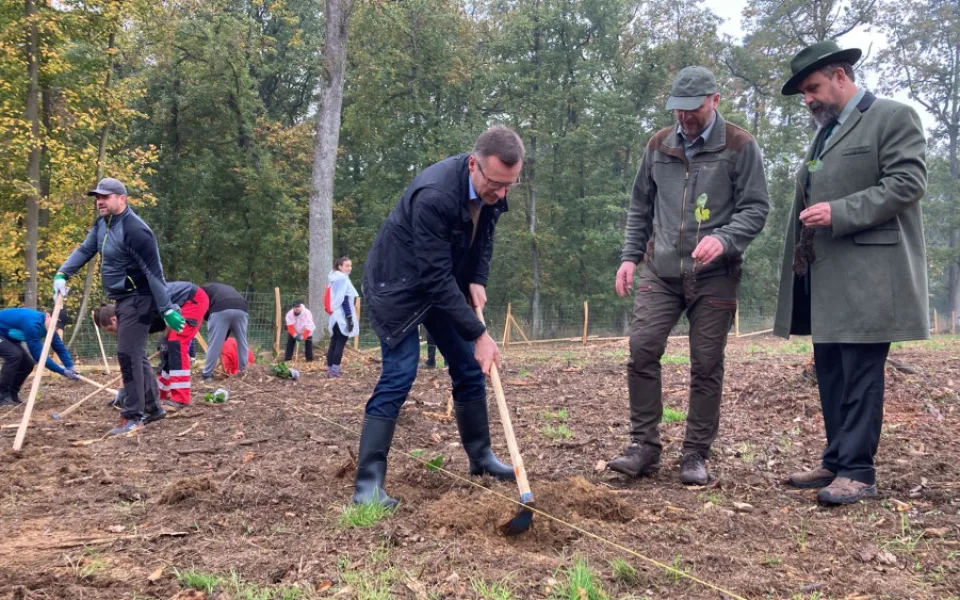Ministr Nekula sází lípy v Mariánském údolí u Brna