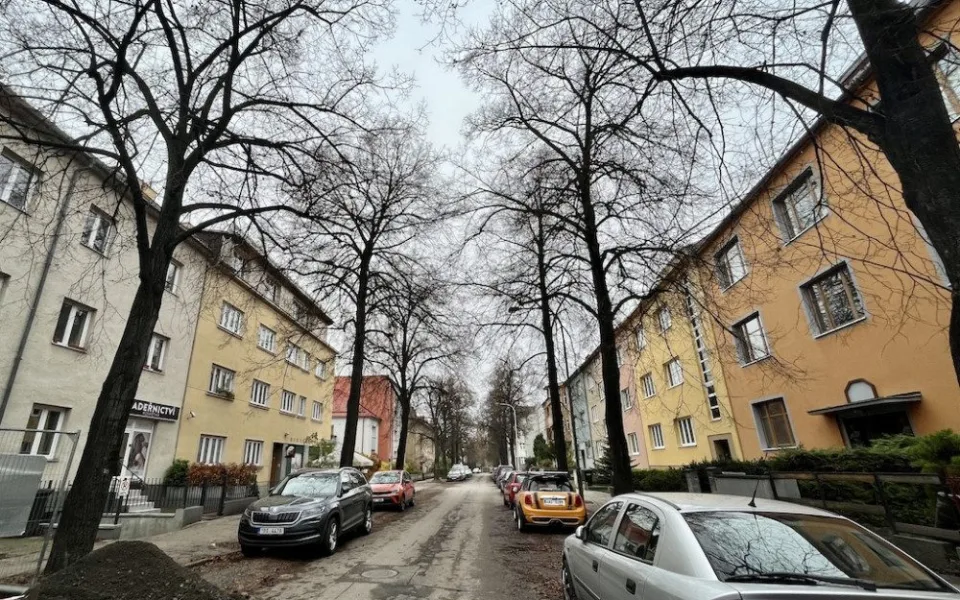 V Brně vykácí stoletou lipovou alej. Nemáme na výběr, hlásí město