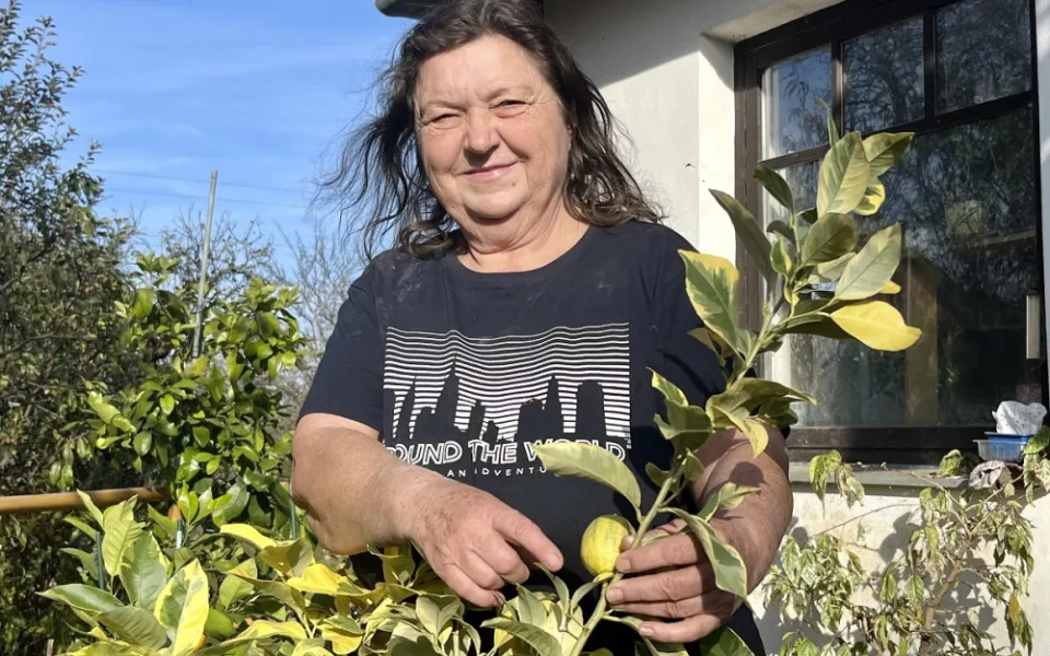 Pěstitelka citrusů Iva Hažmuková