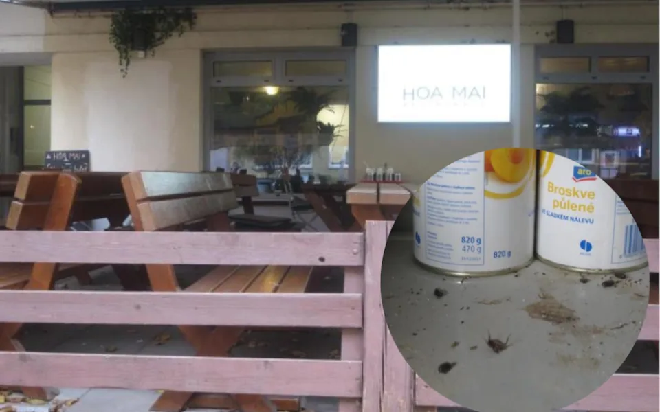 Potravináři se zlobí na Vietnamce z Brna. V restauraci měli mrtvé brouky a myší výkaly