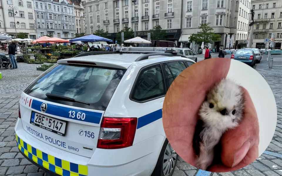 Návrh bez názvu (1)