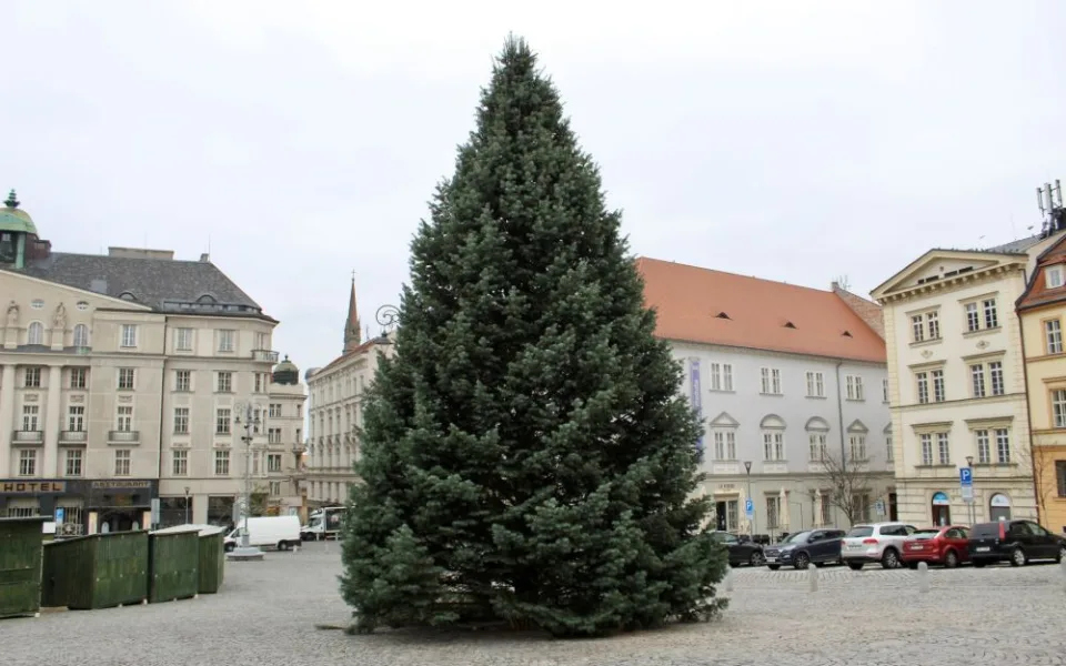 Brno se chystá na Vánoce. Dělníci staví stánky a na Zelňáku už mají strom