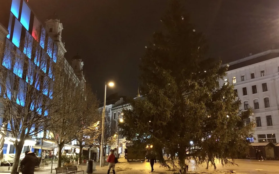 Brno má vysoký vánoční strom. Smrk přijel na náměstí Svobody autem