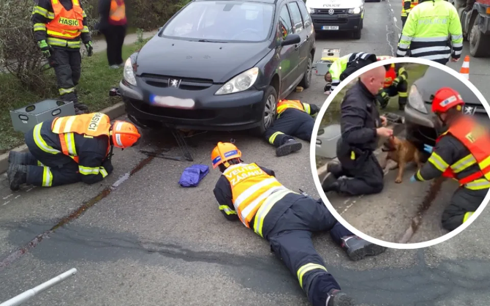 Pes z Brna zůstal zaklíněný pod autem, na pomoc přijeli hasiči