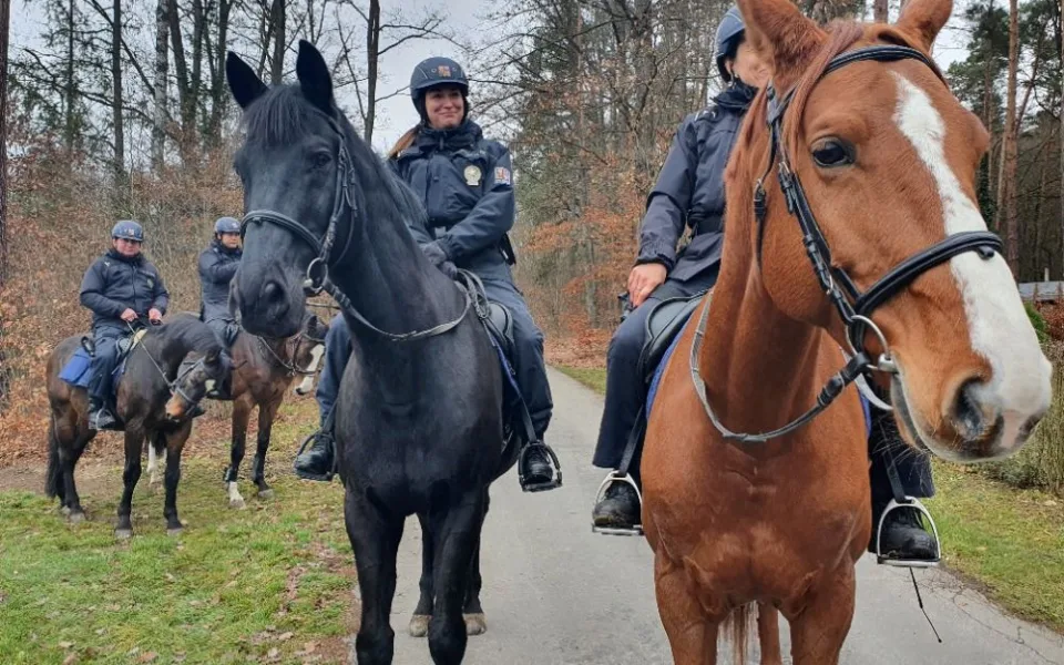 Po jižní Moravě hlídkují policisté na koních a kontrolují zazimované chaty. Jednu už našli odemčenou