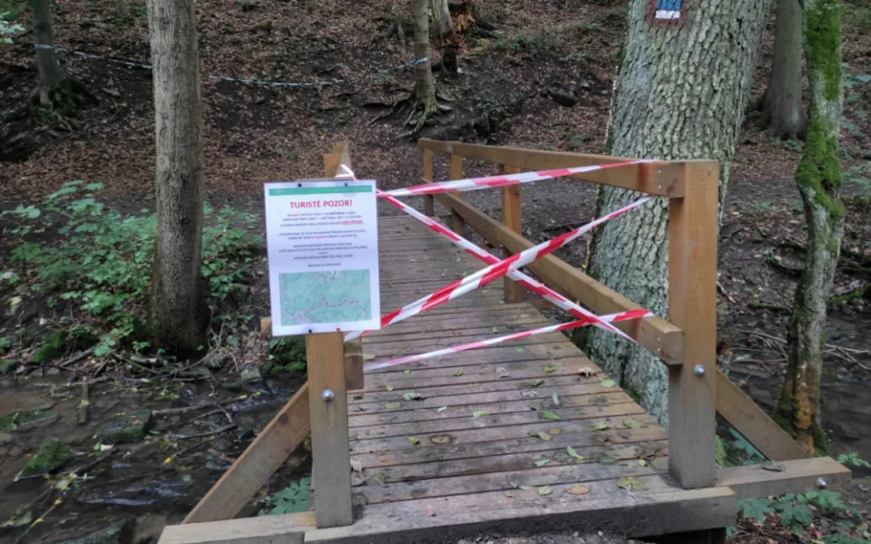 Lesníci kvůli suchu pokácí stromy v Moravském krasu. Nechtějí, aby padaly na turisty