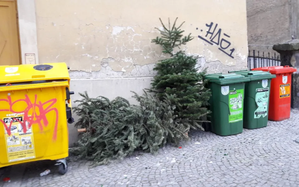 Ilustrační foto. Vedle kontejnerů stromy nepatří, upozorňují popeláři.