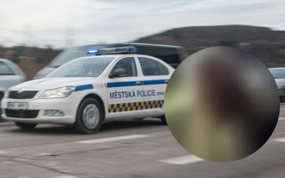 Z brněnské restaurace vyhnali šedivého mudrce. Za piva chtěl platit jízdenkou a lichotkami