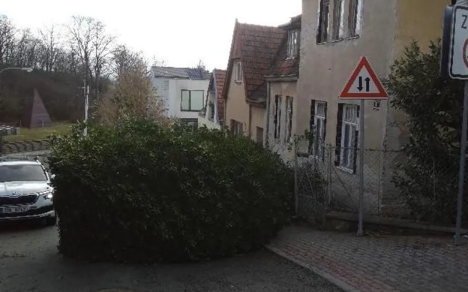 Brno zasáhl silný vítr. Padaly strom, dopravní značky i troleje