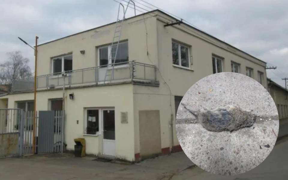 Do výrobny asijských nudlí naběhly myši. Všude kálely, zuřili potravináři