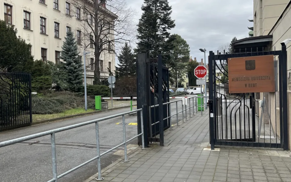 Ilustrační foto.