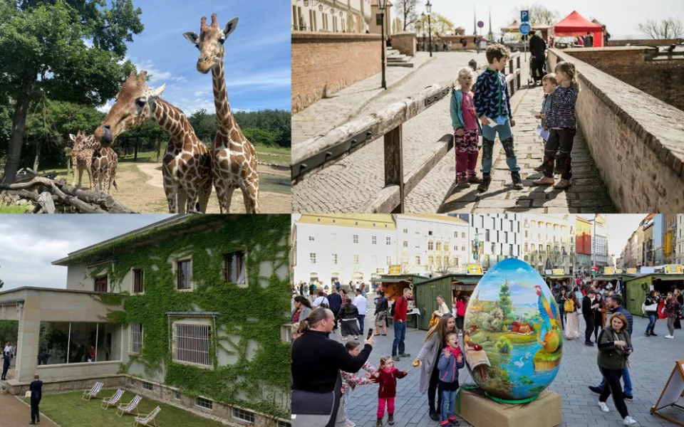 Kam o Velikonocích v Brně? Za hledáním vajíček do zoo i na slavnosti