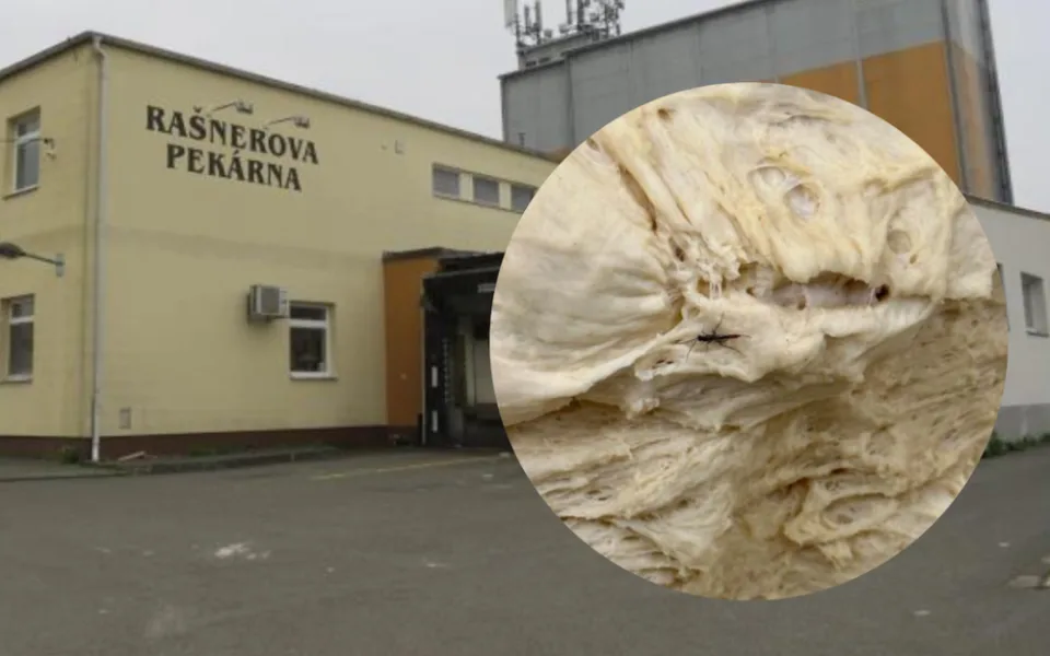Vyškovská pekárna má utrum. Byla plná hmyzu, špíny a plísně