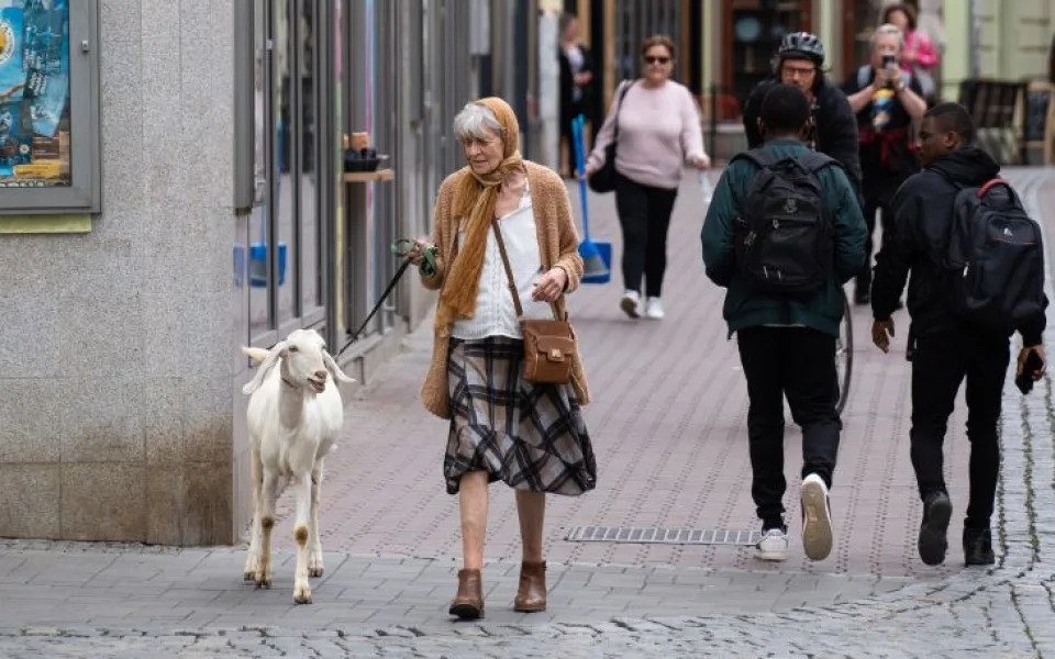 Seniorka zmateně bloudila Brnem. Na vodítku vedla kozu