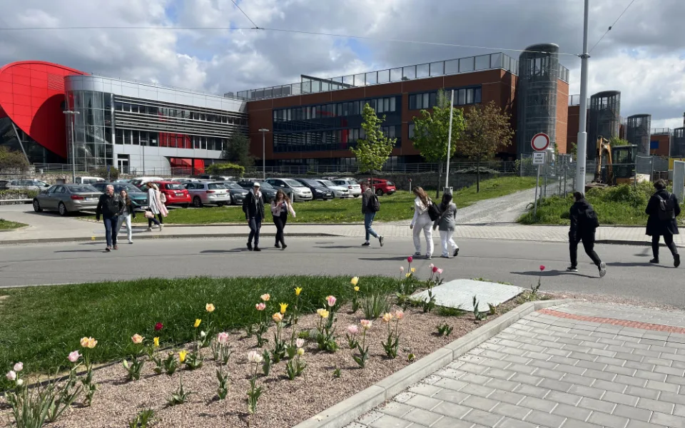 Lidé mířící do kampusu a zpět volí cestu přes silnici a záhony, jelikož nejbližší chodník je v opačném směru.