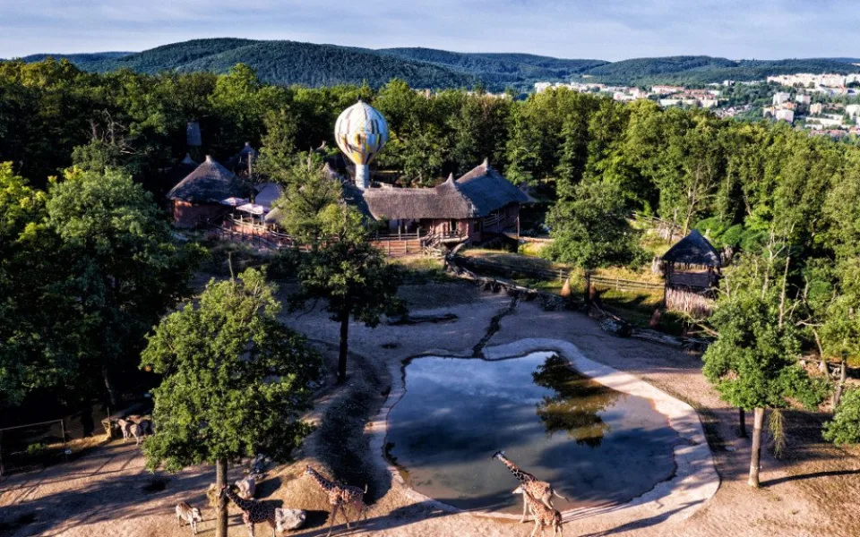 Přijďte na akci Ať je klima v Brně prima aneb dny životního prostředí do brněnské ZOO
